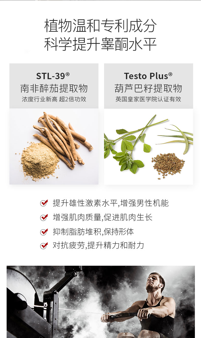 澳洲原产 AXS 男士黄金素 雄性激素促睾酮素 60粒 提升精力耐力 图6