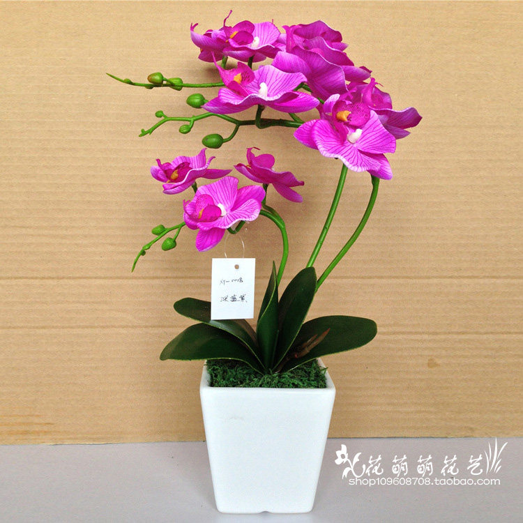 High Imitation Butterfly Lan Tea Table Pendulum Piece Home Decoration Goods Simulation Flowers Evergreen Flowers Fake Flowers Gift Plant Potted Special Price