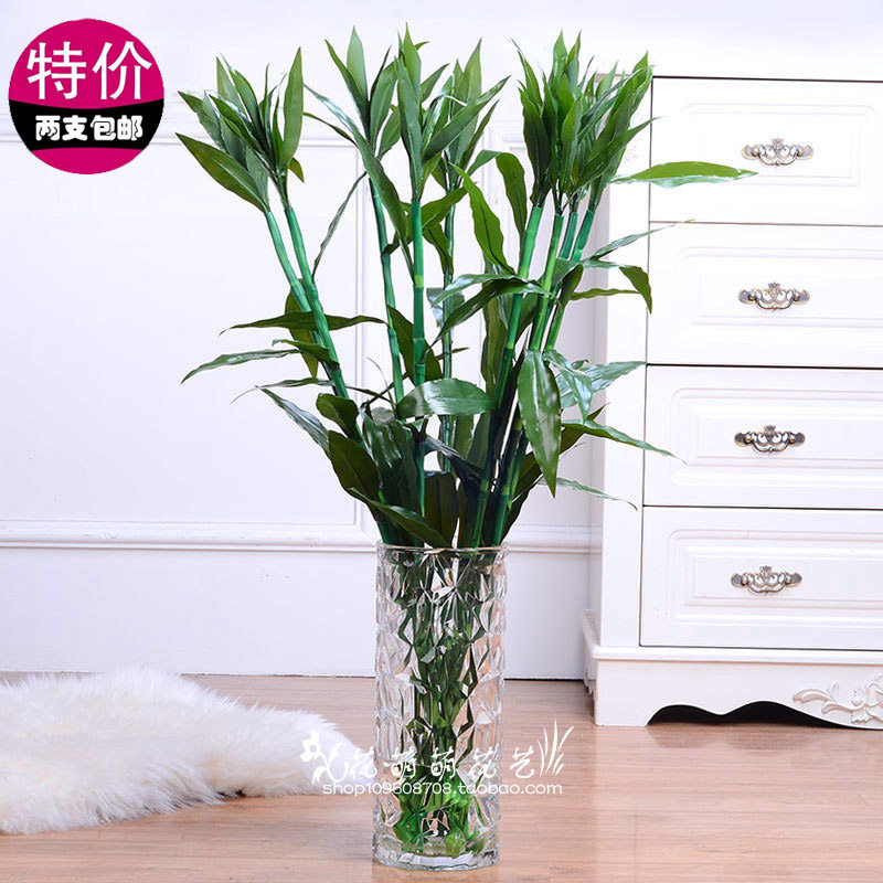 Simulation of rich and expensive bamboo open transport bamboo fake flower livingroom decoration flower green planting simulation bamboo fake bamboo fake rich and expensive bamboo