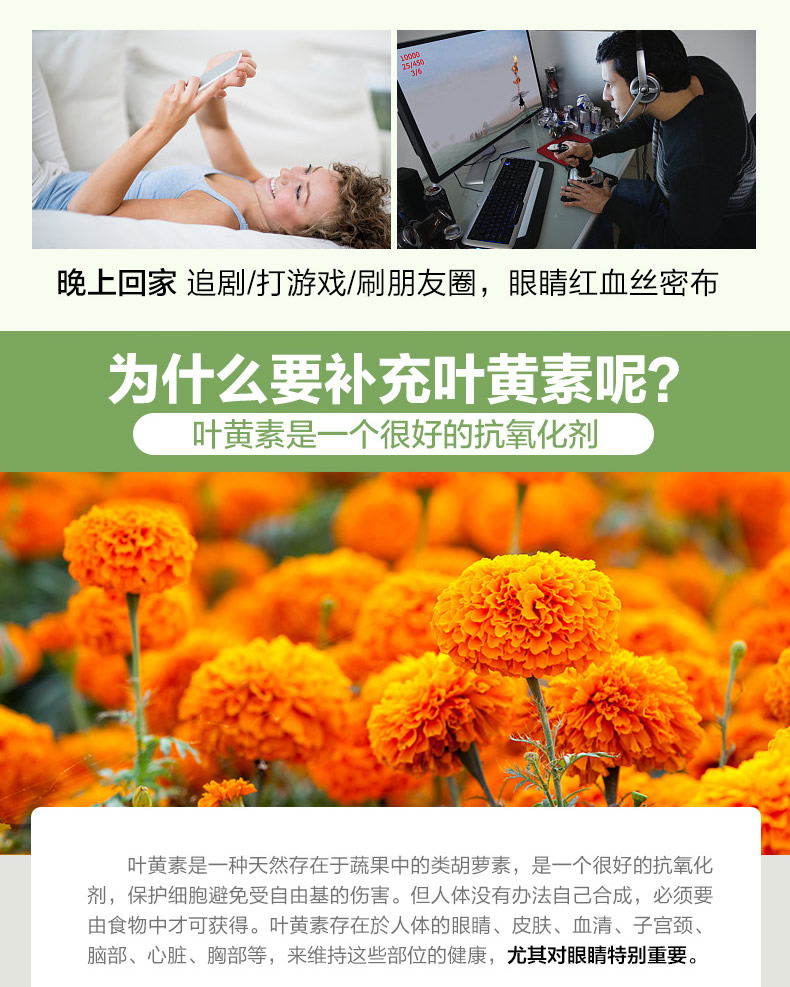 Mỹ NGAY BÂY GIỜ Sản phẩm chăm sóc mắt lutein thanh niên bảo vệ người lớn thị lực để giảm mỏi mắt 60 viên - Thức ăn bổ sung dinh dưỡng thực phẩm chức năng bổ sung canxi