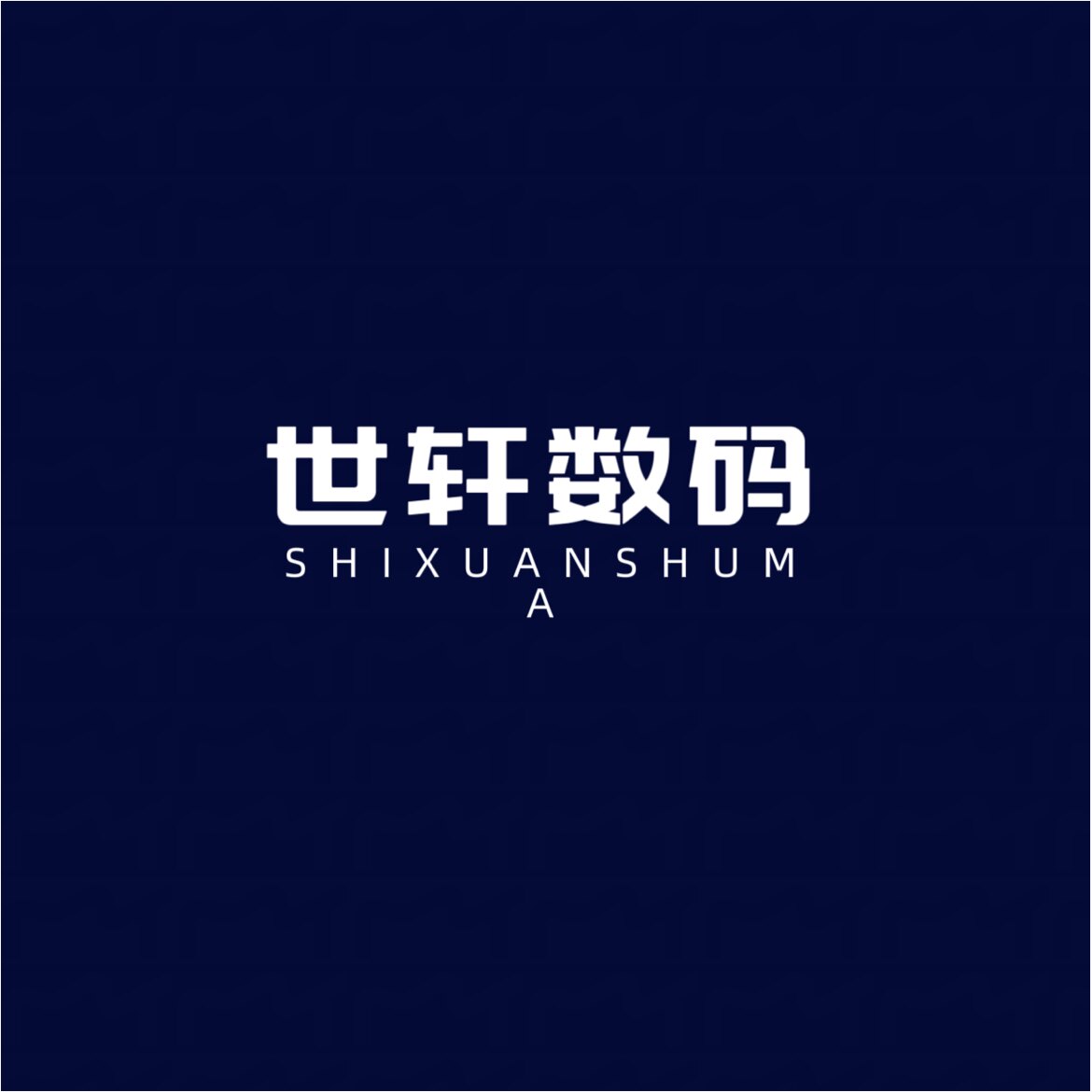 世轩数码
