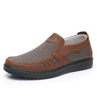 B-33303 Coffee Color