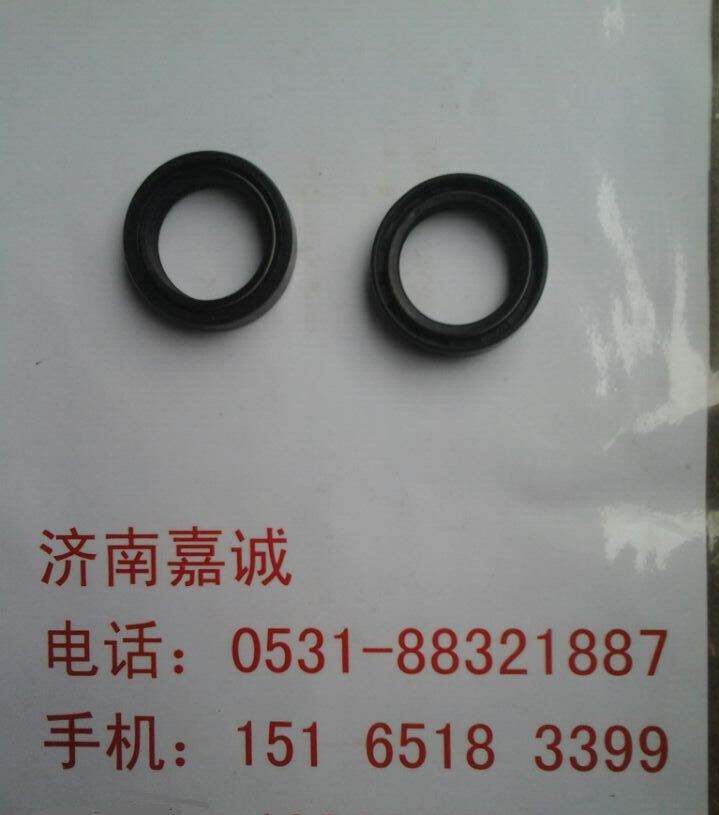 Qingqi original Tibetan mastiff war mastiff QM200GY first and second generation locomotives are reducing oil seal front shock absorber oil seal accessories