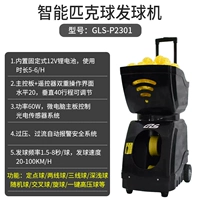 GLS-P2301 (модернизированная модель)