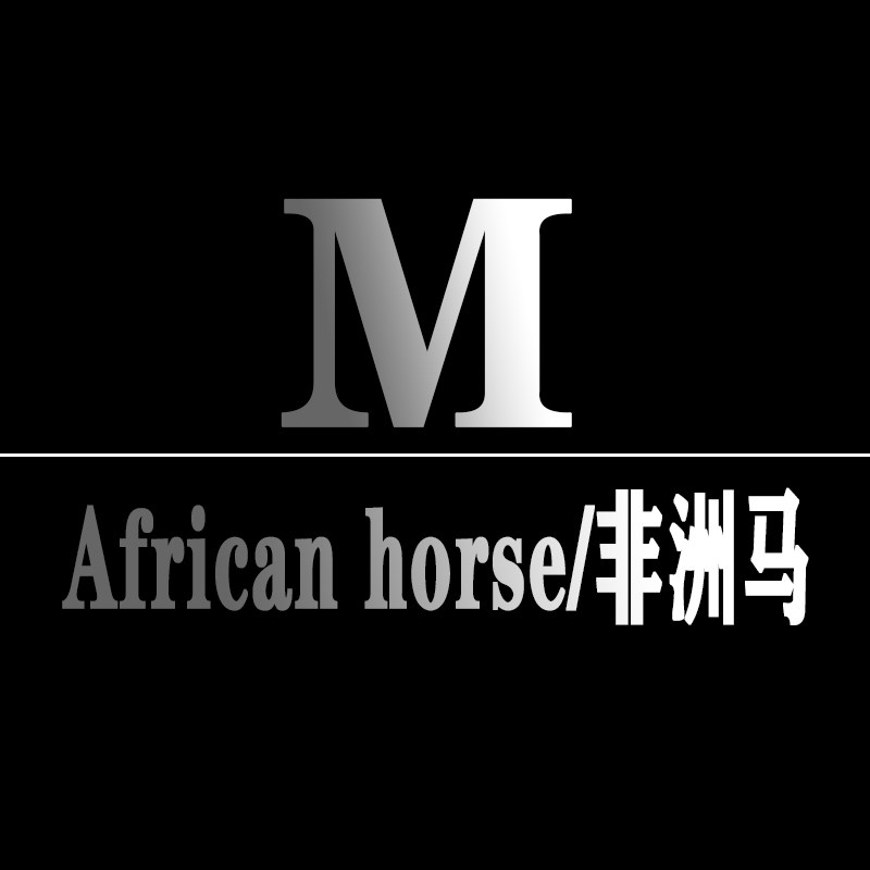 非洲马小家电直销店