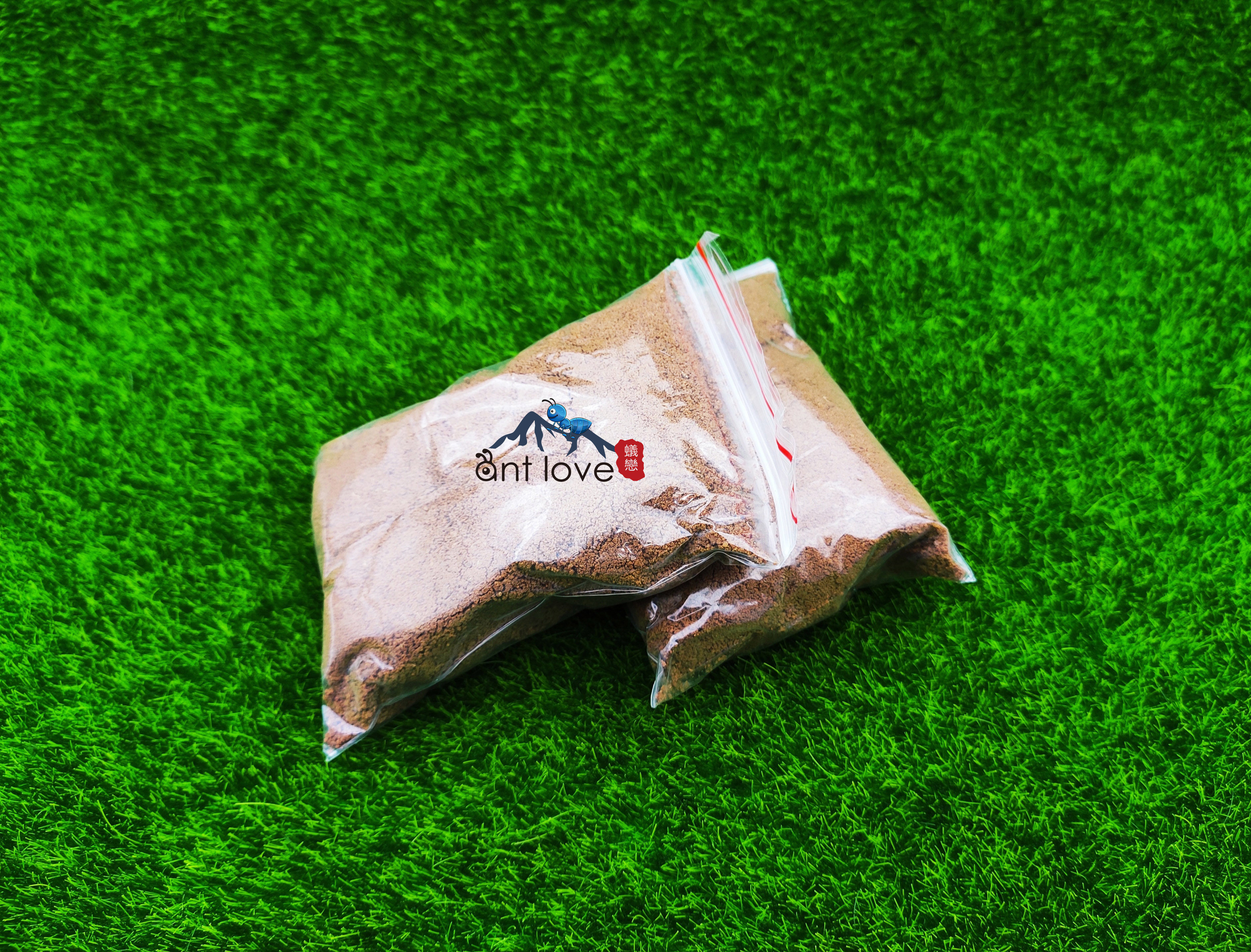 The queen of the ants is good quality fine yellow earth