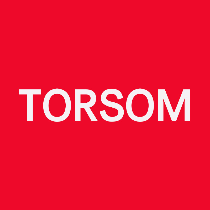 涛声(TORSOM)电器