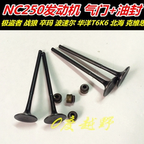 Extreme thief T6 K6 Bozor Puma off-road motorcycle Zongshen NC250 engine intake and exhaust valve oil seal