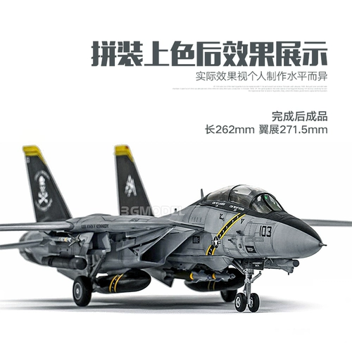 Модель 3G Aidemei собрал самолет 12578 F-14B Fighter VF-103 Jolly Rogers