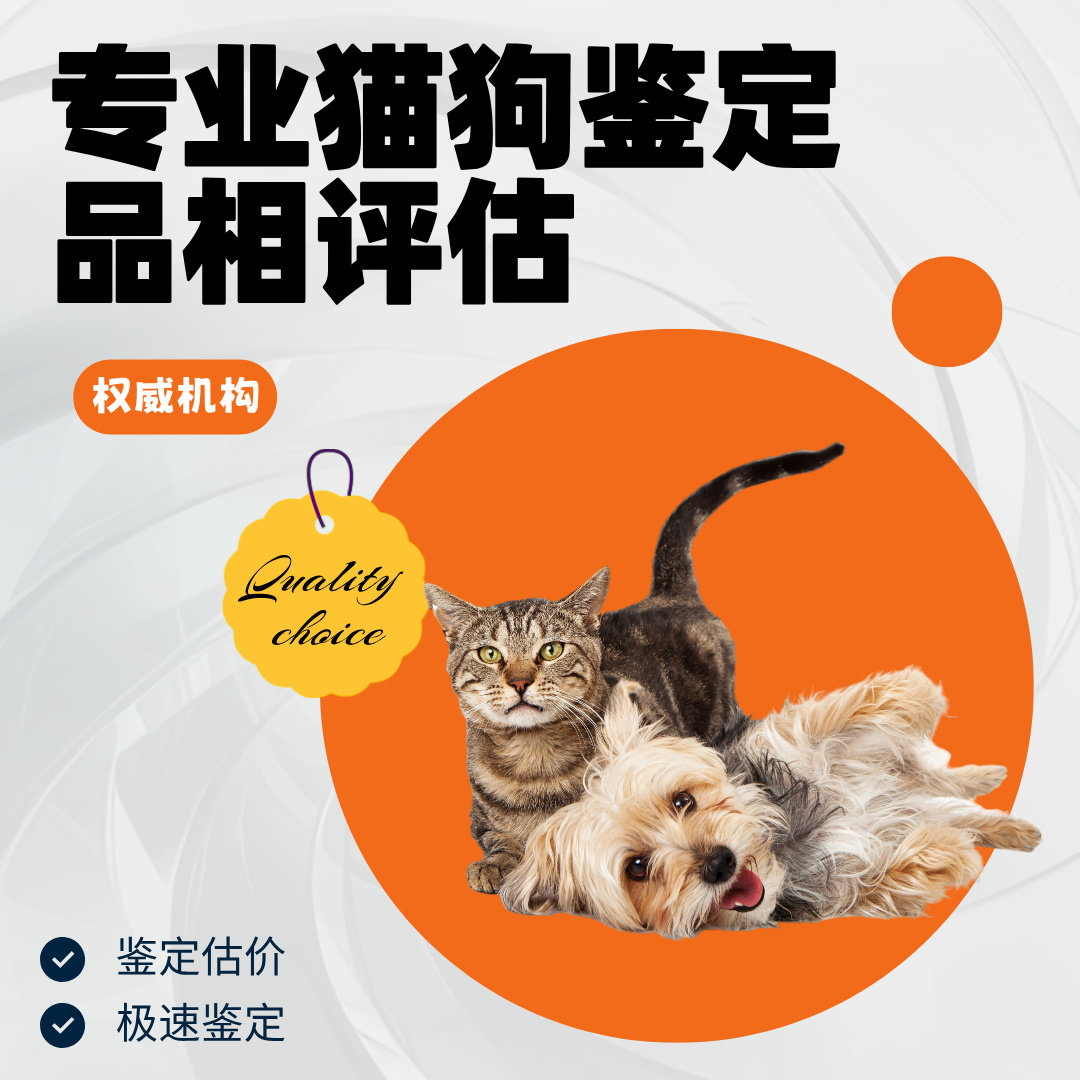 2025年怎么找靠谱宠物鉴定师？柴犬边牧布偶德文品种品相估价避坑指南_宠物服装_淘宝服装网