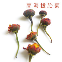 Kunlun high altitude fetal chrysanthemum snow chrysanthemum wild head stubble premium Xinjiang snow chrysanthemum grass tea 50g