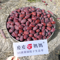 Piunt vegetable garden sub eco small grey date Xinjiang Ruoqiang red date tree hanging dry pregnant woman children 2800 gram of zaozao