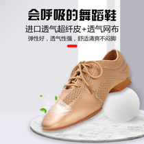 LD teacher shoes womens two-point sole mens and womens high flat-heeled Latin shoes breathable lightweight and comfortable focus Emperors same style