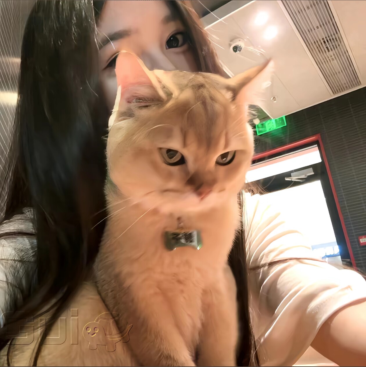 MSSTLY女装