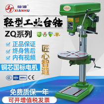  Zhejiang Xianhu light industrial small desktop drilling machine ZQ4113 zq4116 4119 4125 4132 Buddha bead machine
