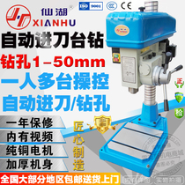 Automatic Feed Feed drilling platform drilling JZB4120 25mm industrial grade precision fine drilling machine punching machine