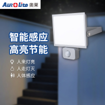 Ole LED sensor flood light human body sensor light outdoor sensor wall light waterproof garden light sensor street light