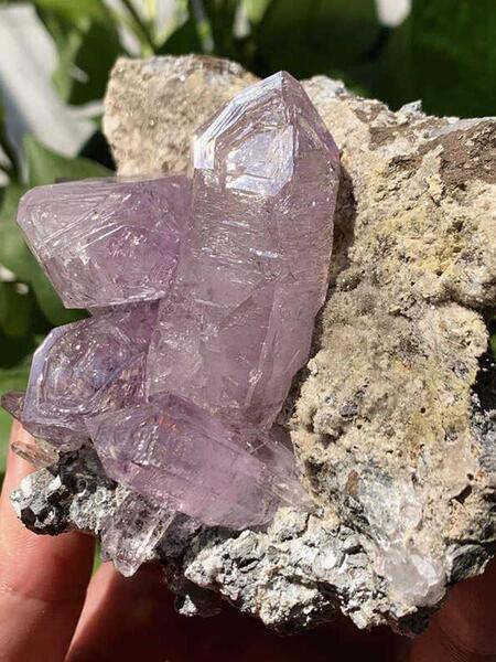 Mexico Cruz Amethyst Crisp Skeleton Amethyst Premium Crisp Skeleton Natural Raw Crystal