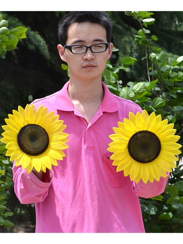 Стадия детского сада моделирование подсолнежного подсолнечного танца подсолнечника