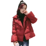 Короткий демисезонный пуховик с пухом, демисезонная элитная красная куртка, 2024 года