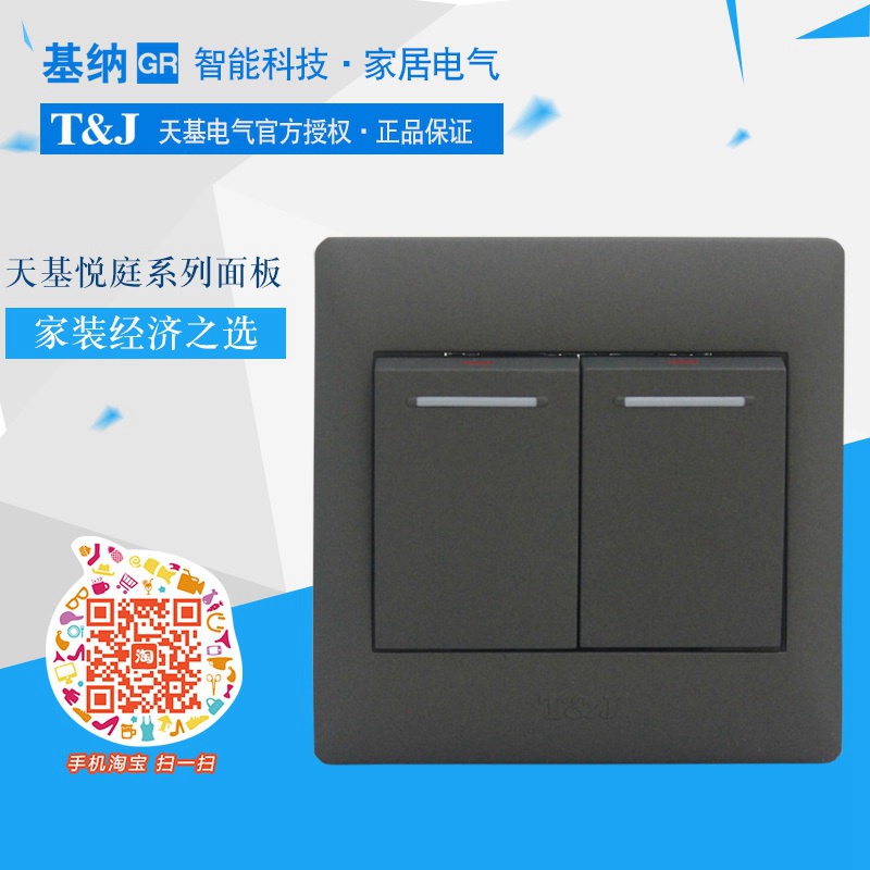 Tianji Electric Yueting series switch socket type 86 two-position double switch panel elegant dumb black