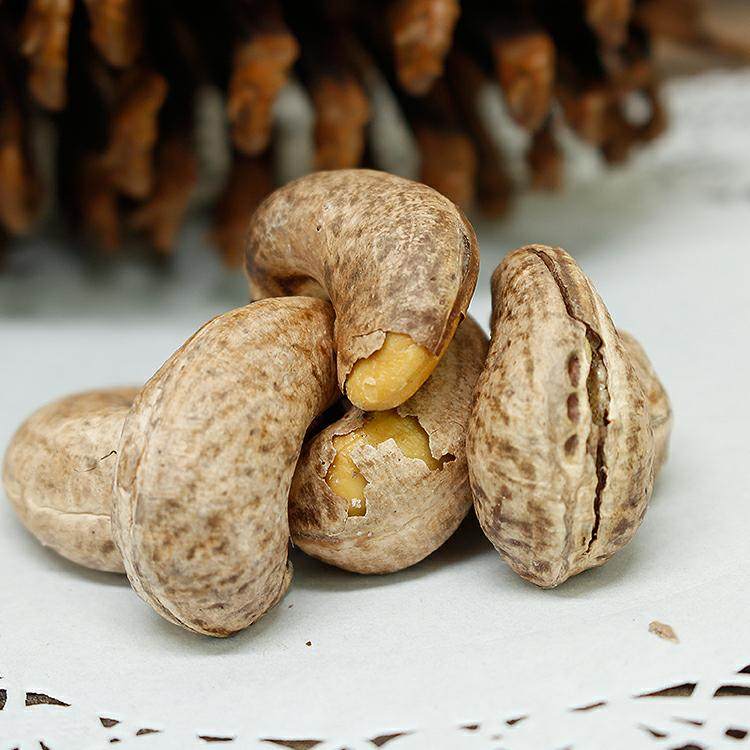 2026年最适合孕妇食用的紫皮腰果盐焗新品有哪些特点？