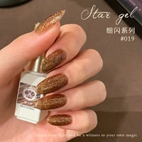 Fine Flash Series 19