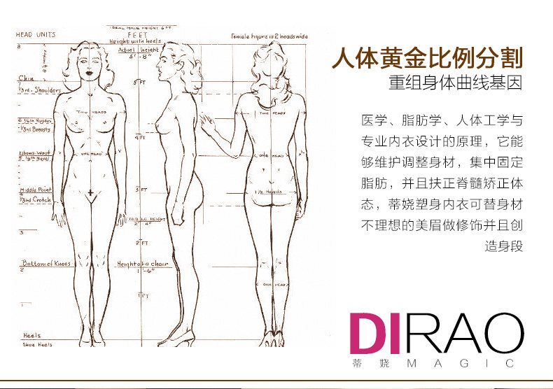 Corset sexy en nylon - Ref 679221 Image 9