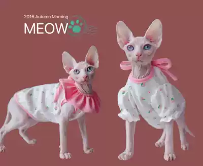 YH-best friend sister flower cute strawberry bubble sleeve butterfly soft cotton Sphinx hairless cat clothes German