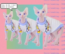 YH-crayons graffiti with small floral floats Amida Sfinks no hairy cat clothes East short German short feet