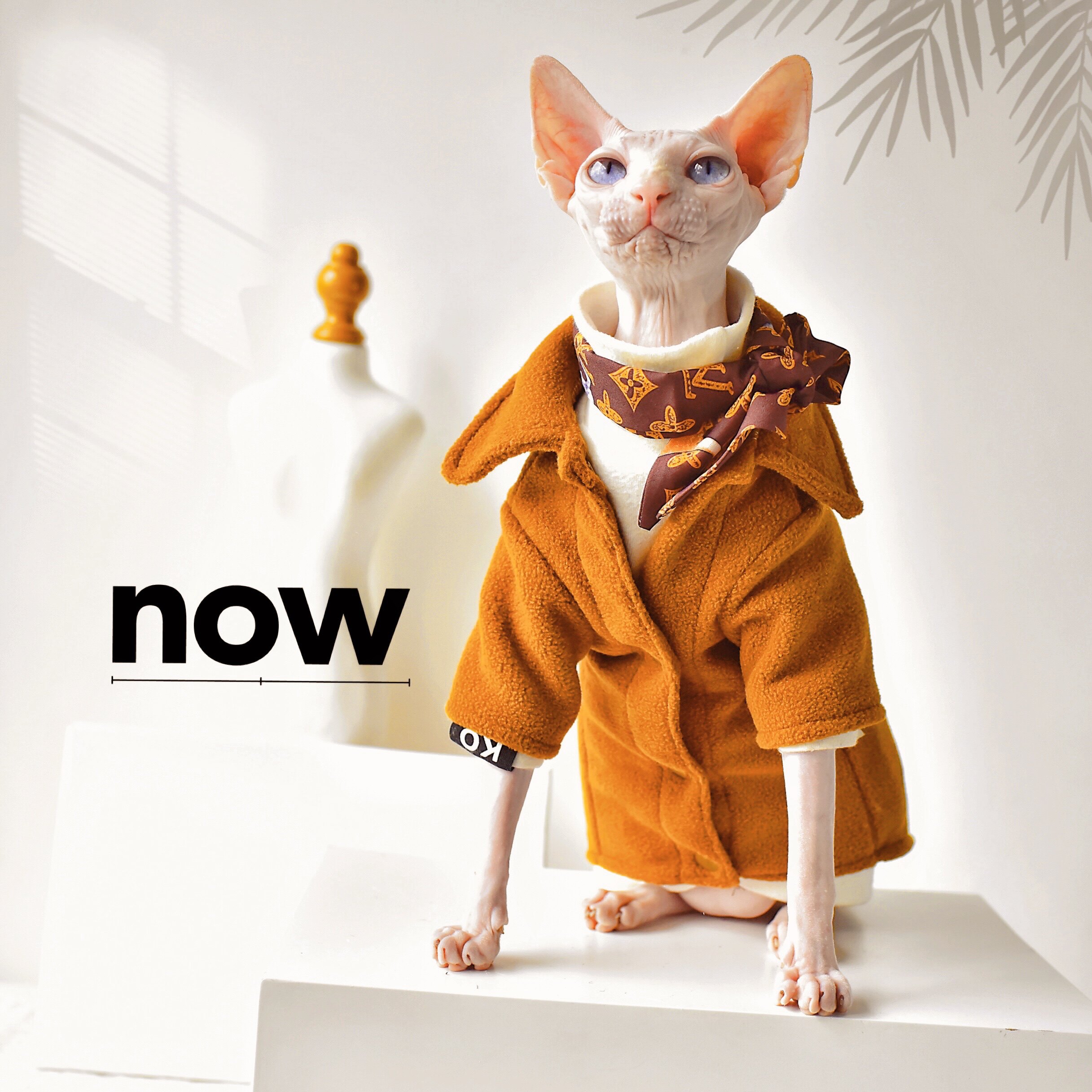 GG double-sided polar fleece shirt winter warm thick Yonghe Sphinx hairless cat clothes trendy German clothes