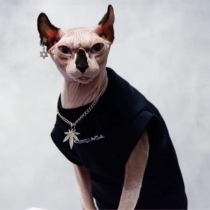 YH-uppie handsome dark black ensemble minimalist with sleeveless sleeveless vest T-Oscar-Swensnestless cat clothes summer thin