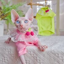 YH-Couple girlfriends dress candy color Strawberry lace fluffy collar Sfinks No Mao clothes Summer