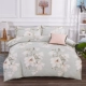 Valentine Carolina dệt bông dày chà nhám ấm giường denim bông Wedding giường lanh chăn mùa đông - Bộ đồ giường bốn mảnh
