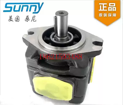 HG1-25-01R-VPC 32 40 50 63-01R-VPC Hitech internal meshing gear oil pump