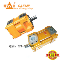 NBZ4-G63F NBZ4-G63F NB4-G63F SAEMP Shanghai Airlines Meshing Gear Oil Pumps Lean for Lean Excellence