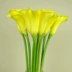 12 gói Cảm giác siêu thực PU hoa calla lily lớn nụ hoa nhân tạo phong cách châu Âu Hoa trang trí - Hoa nhân tạo / Cây / Trái cây hoa lan giả Hoa nhân tạo / Cây / Trái cây