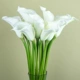 12 gói Cảm giác siêu thực PU hoa calla lily lớn nụ hoa nhân tạo phong cách châu Âu Hoa trang trí - Hoa nhân tạo / Cây / Trái cây hoa lan giả