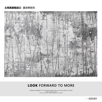 Turkey Imports Modern Light Lavish Living Room Carpet Nordic Minima Sofa Tea Table Blanket Grey Abstraction Bedroom Floor Mat