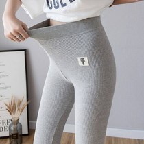 Gray leggings women wear thin spring and autumn thread vertical stripe autumn pants Warm cotton pants velvet thickened trousers