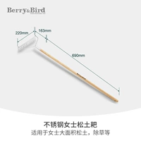 Гребь г -жа Пайн Земля