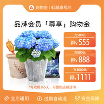 (Limited shopping gold) Hongyue flagship store welfare purchase store general 800 to 888 ~