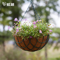 (Hongyue) balcony courtyard basket hanging Basin home hanging plant flower pot beautiful