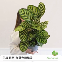 Наконечник стрелы в виде павлина + горшок из серо-синего ротанга