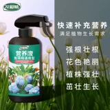 Празднование цветов Hongyue Dilute Speed ​​Speed ​​-эффективная линия растительного питания цветочные продукты цветочные удобрения 480 мл