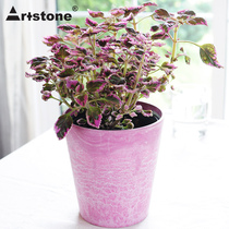(Hong Yue) Artstone stone pattern resin flower pot Claire 13 desktop color decoration simple set basin