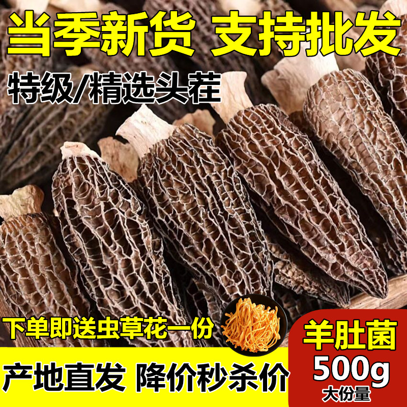 Yunnan selected Yunnan Yunnan Yangbacteria in 2022 new special fresh amygobacteria dry mushrooms