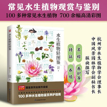 A light illustrated guide to aquatic plants an encyclopedia of more than 100 common aquatic plants high-definition pictures flower ornamental identification and maintenance guide popular science books plant cultivation books garden design and gardening life