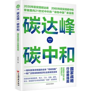 正版 碳达峰&middot;碳中和：国家战略行动路线图 袁志刚 著 中国经济绿色低碳节能减排发展理念经济书籍 中国经济出版社