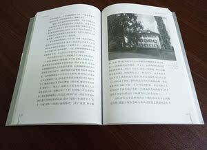 欧洲音乐家传记系列 瓦格纳传 （附2CD光盘）欧洲音乐家人物传记 艺术音乐书籍 音乐大学生使用书籍 斯蒂芬·约翰逊 湖南文艺